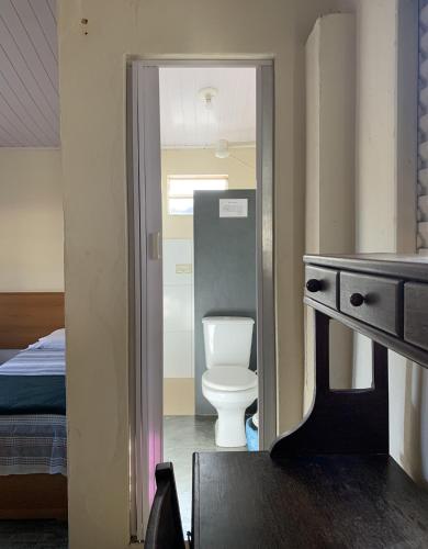a bathroom with a toilet in a room at Hostel Casarão in Viçosa