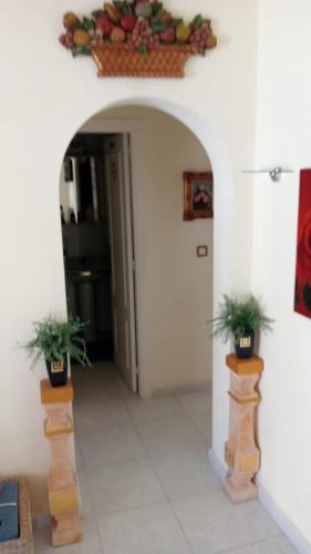 een hal met twee potplanten in een gebouw bij Bungalow Playa Flamenca in Orihuela