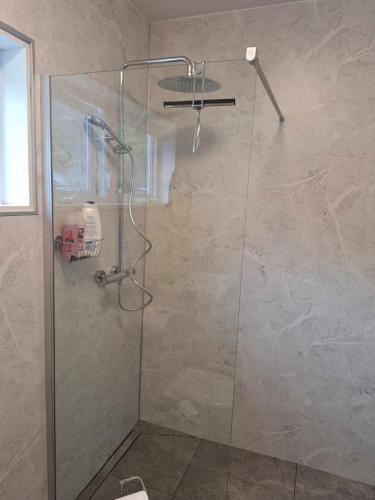 a shower with a glass door in a bathroom at Cozy studio apartment in Súðavík