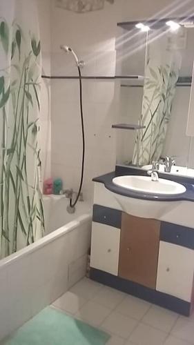 une salle de bain avec un lavabo et un rideau de douche dans l'établissement T2 bis vue mer, 5 pers, grande terrasse, à Anglet
