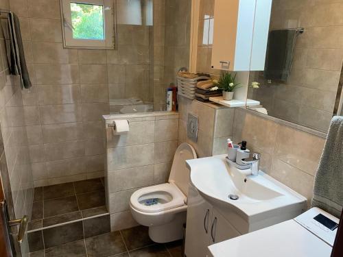 a bathroom with a toilet and a sink at Apartment Nibim in Bijela