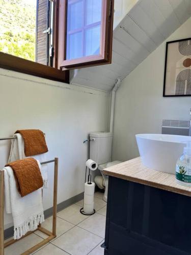 une salle de bain avec un lavabo et des toilettes dans l'établissement Cozy Pyrenees Mountain Retreat, à Castillon-de-Larboust