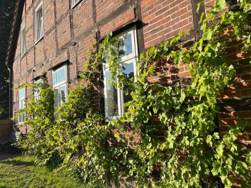 a brick building with vines growing on it at Wendlandhof Lüggau in Dannenberg