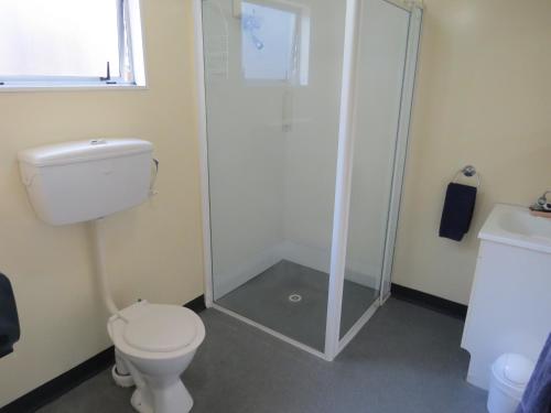 a bathroom with a shower and a toilet and a sink at Camellia Court Family Motel in Taupo