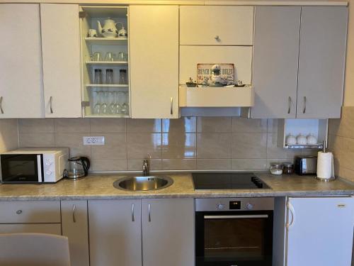 Kuchyň nebo kuchyňský kout v ubytování Apartment Nibim