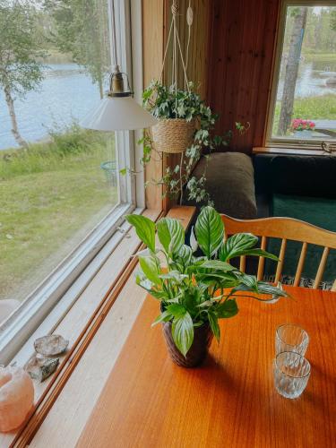 a table with a potted plant on it next to a window at Laplandliv cabin on the lake with hottub in Björkliden