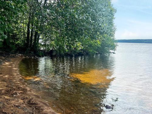 a body of water with trees on the shore at 4 person holiday home in BRAÅS-By Traum in Harshult