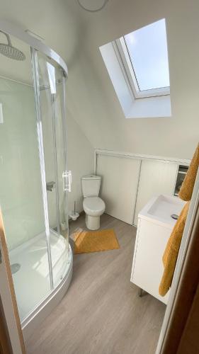 une salle de bain avec douche et toilettes dans l'établissement Le Gypaète, à Gouaux