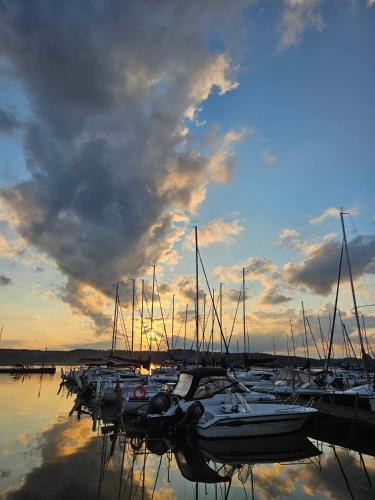 a group of boats docked in a marina at sunset at Apartament z widokiem na jezioro in Charzykowy