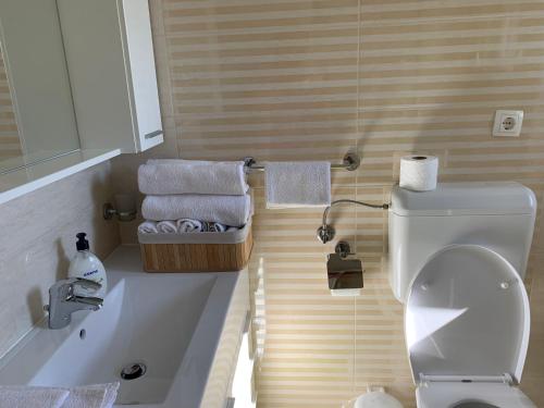 a bathroom with a toilet and a sink at Apartman LIVE in Posedarje