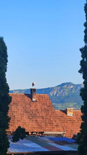 a roof with red tiles on top of a building at Ruža vetrova in Kušići