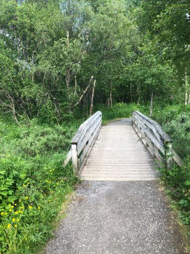 a wooden bridge over a path in a forest at Private room on quiet street in Bodø