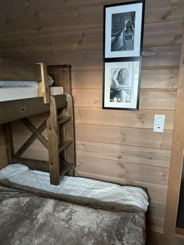Gallery image of Myrkdalen Lodge II, luxury family cabin in Helgatun