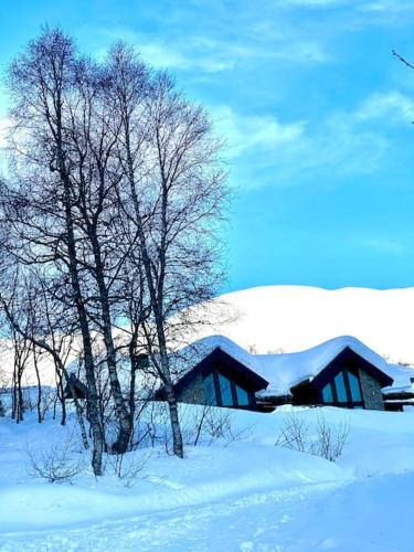 Gallery image of Myrkdalen Lodge II, luxury family cabin in Helgatun