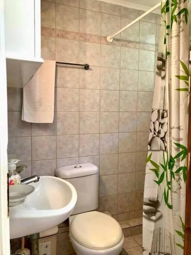 a small bathroom with a toilet and a sink at Karyatis studios lixouri in Lixouri