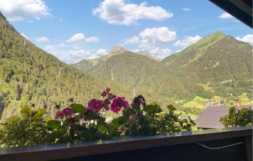 a window with a view of mountains and flowers at Ferienwohnung St, Gallenkirch in Sankt Gallenkirch