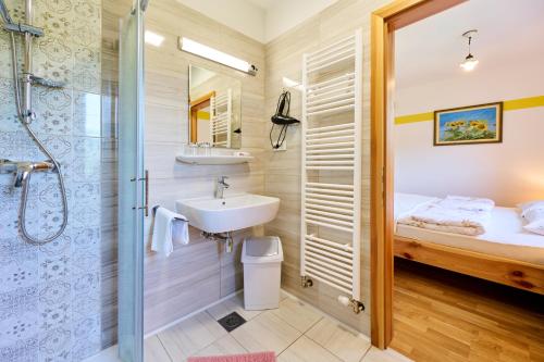 a bathroom with a shower and a sink and a toilet at Apartments Organic Tourist Farm Gradišnik in Prevalje