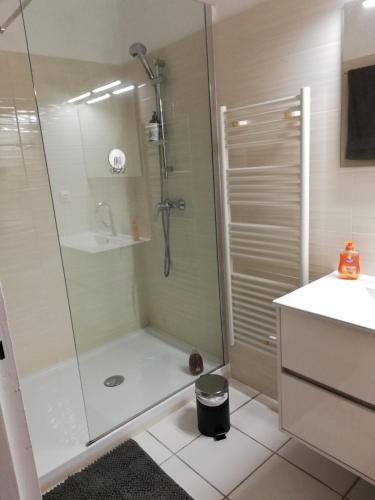 une salle de bain avec douche et lavabo dans l'établissement Les pieds dans l'eau, à San-Nicolao