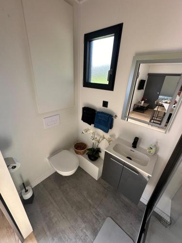 une salle de bain avec un lavabo, des toilettes et un miroir dans l'établissement Cottage bungalow le St Vel', à Velennes