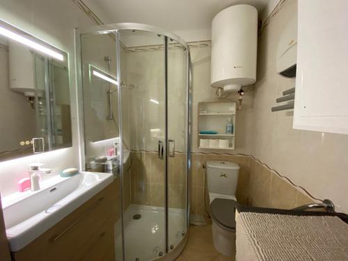 une salle de bain avec une douche, des toilettes et un lavabo dans l'établissement Appartement climatisé avec jardin, proche Thermes et commerces - FR-1-503-40, à Balaruc-les-Bains