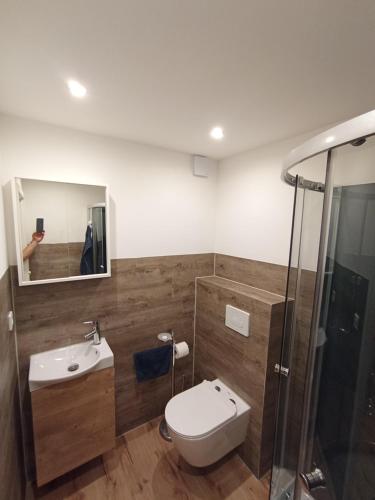 a bathroom with a toilet and a sink and a shower at Wohnung Neunkirchen 1A in Neunkirchen am Brand