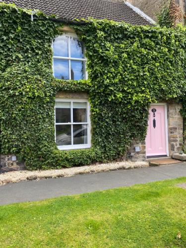 a ivy covered house with a pink door and windows at Jasmine Cottage in Gilling