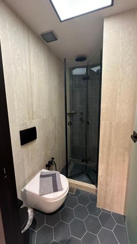 a bathroom with a shower and a toilet at Anemos in Agia Triada