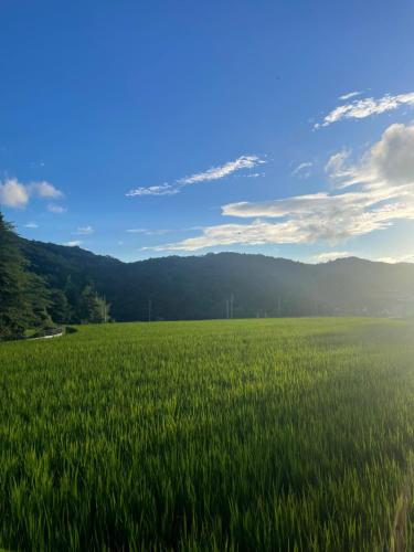 Un paisaje natural cerca de la habitación en casa particular