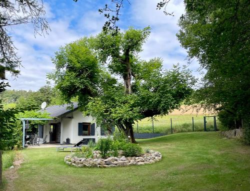 a house with a tree in the yard at Ferienhaus Ella in Trautskirchen