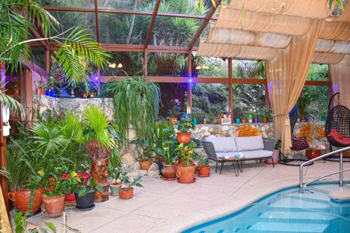 a conservatory with a pool and a bunch of plants at Twelve Hummingbirds Andes Retreat in Paute