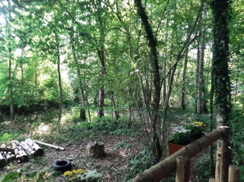 a wooded area with a fire pit and trees at Baumhausnächte in Ladbergen