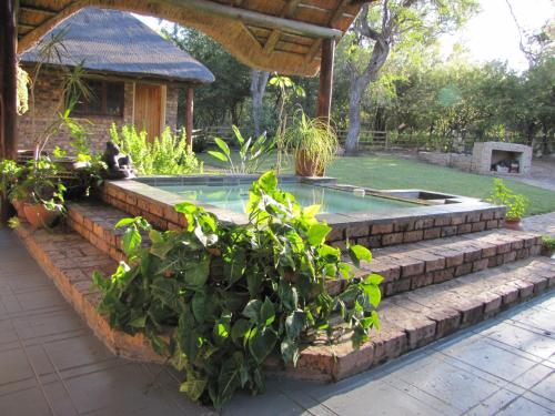 a swimming pool in a garden with plants at SERENITY Du Bois Lodge in Marloth Park