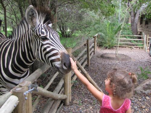a little girl petting a zebra over a fence at SERENITY Du Bois Lodge in Marloth Park