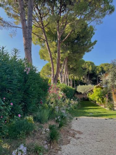 Jardín al aire libre en La BouganVillea