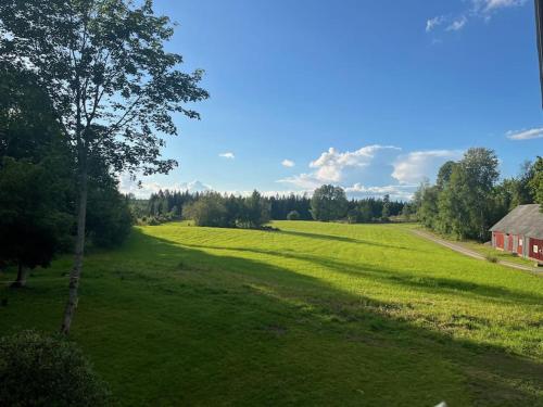 a large green field with a tree and a red barn at Newly renovated cozy house Urshult-Åsnen-south Småland in Urshult