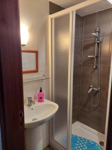 een kleine badkamer met een wastafel en een douche bij SERRADO Da EIRA in Lajes das Flores