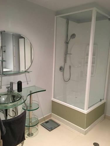 a bathroom with a shower and a glass table at Outstanding Central Lambton Quay Apartment in Wellington