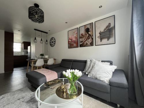 un salon avec un canapé et une table dans l'établissement Entire 60m2 apartment - Close to Paris - Parking - Kitchen - 2min RERB - Olympic'24, à Bourg-la-Reine