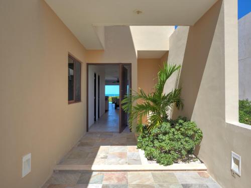Gallery image of Villas Tunas 1 - Yucatan Home Rentals in Uaymitun