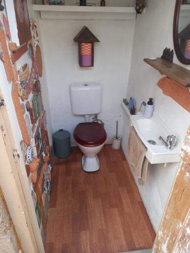 a small bathroom with a toilet and a sink at A La Folly too The Old Workshop in Murray Bridge