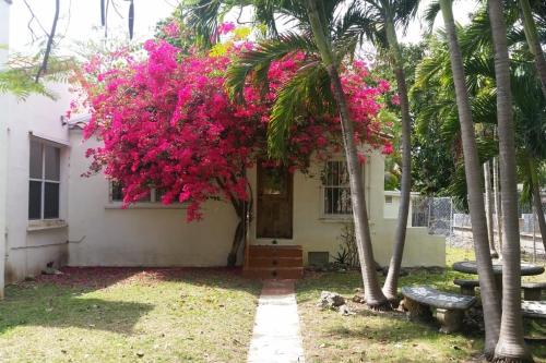 a house with pink flowers on the front of it at Private guest house in the heart of Miami! Surrounded by Miami's HOT spots! in Miami