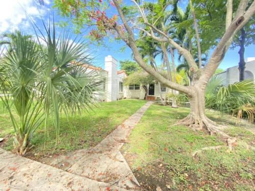 a house with a tree in the yard at Private guest house in the heart of Miami! Surrounded by Miami's HOT spots! in Miami