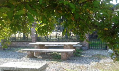 a picnic table and bench under a tree at B&B Cascina Baraggione in Granozzo con Monticello
