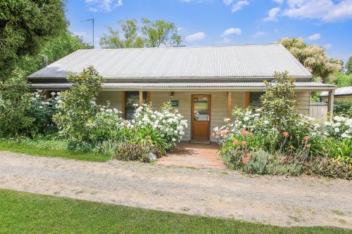 a small house with white flowers in front of it at Spring Creek Cottage in Beechworth