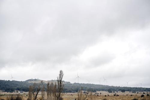 a field with wind turbines in the distance at Murray Tiny Home Collector in Collector