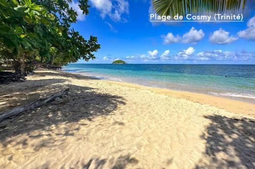 a sandy beach with a view of the ocean at F2 Ixora - spa - piscine - vue mer - 9 min de la plage - Ti Zwézo Paradi in La Trinité