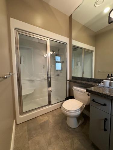 a bathroom with a toilet and a glass shower at Zp Home in Richmond