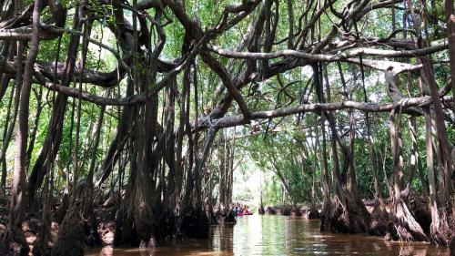 ภูมิทัศน์ธรรมชาติใกล้รีสอร์ท