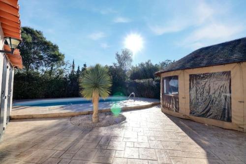 un palmier dans une cour à côté d'un bâtiment dans l'établissement Maison avec piscine et cottage, à Roquebrune-sur Argens