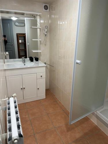 a bathroom with a shower and a sink at LE DOMAINE DU BEZ GITE DE michel PISCINE SAUNA HAMMAM SPA in Saint-Laurent-dʼOlt